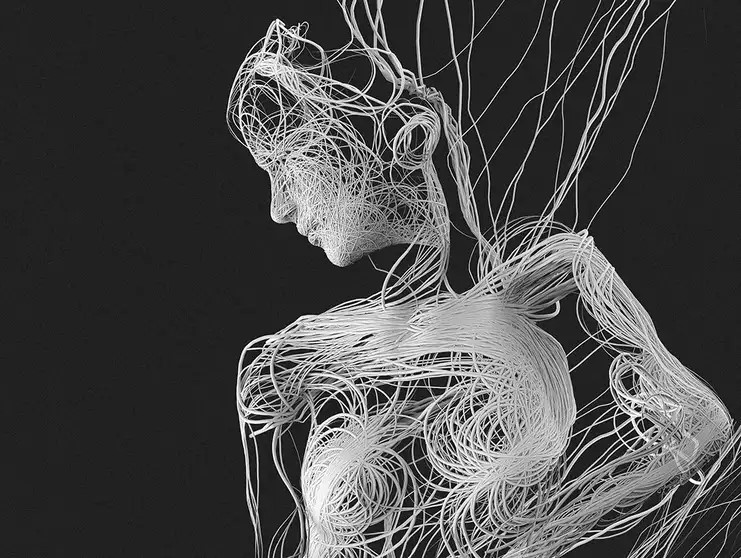 Fascia